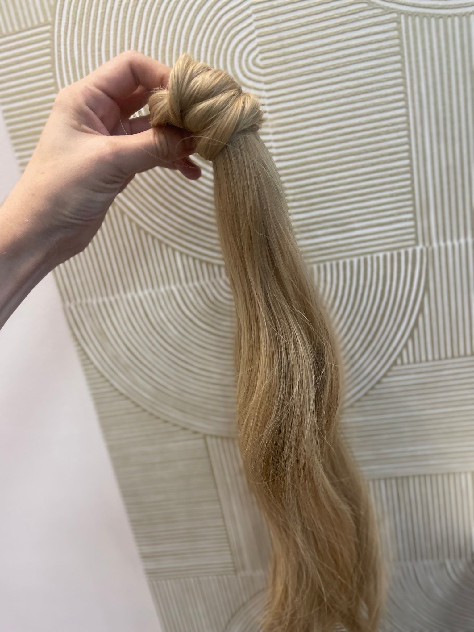 Charline - queue de cheval / 22 inch / European hair